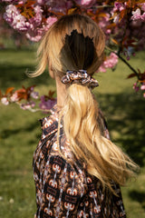 Chouchou et Bande Renaissance